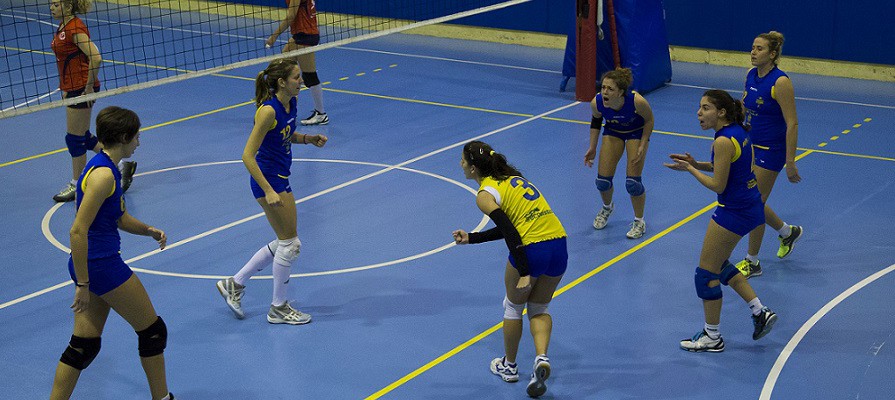 stella volley b2