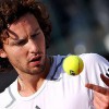 gulbis