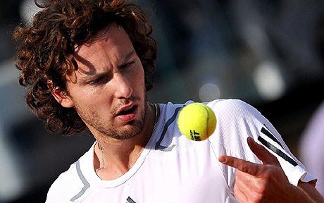 gulbis